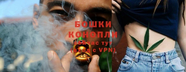 шишки Верхнеуральск