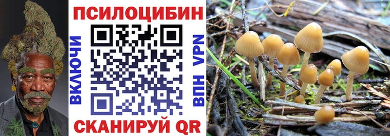mega ССЫЛКА  где найти   Петропавловск-Камчатский  Псилоцибиновые грибы GOLDEN TEACHER 