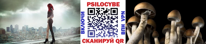 Псилоцибиновые грибы Magic Shrooms Петропавловск-Камчатский